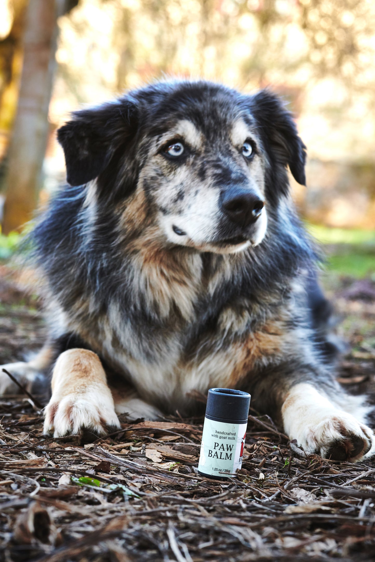 Paw & Snout Balm for Pets