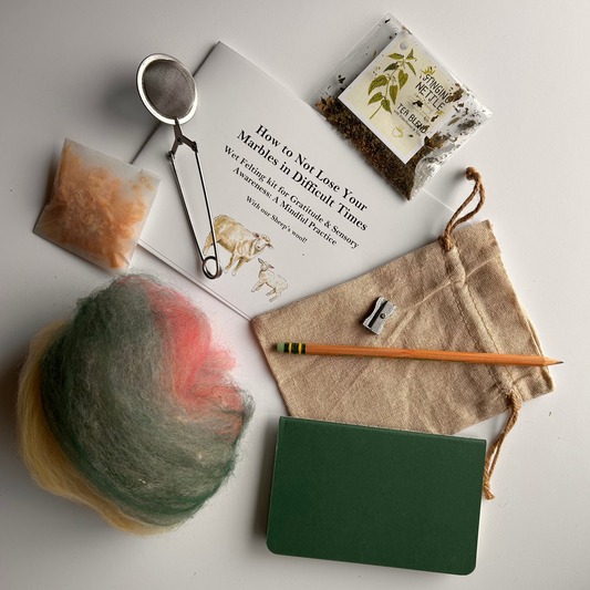 How to Not Lose Your Marbles in Difficult Times Kit