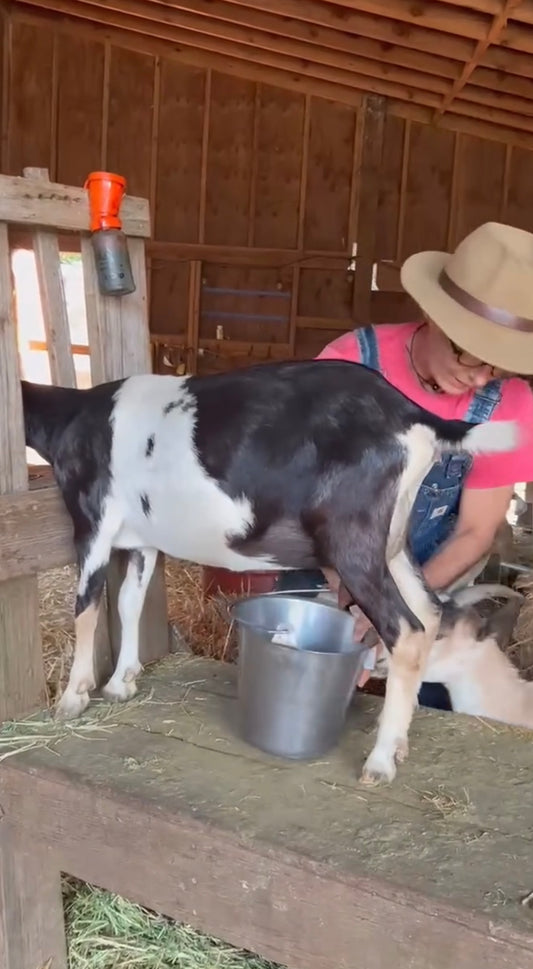 Farmer for an Hour
