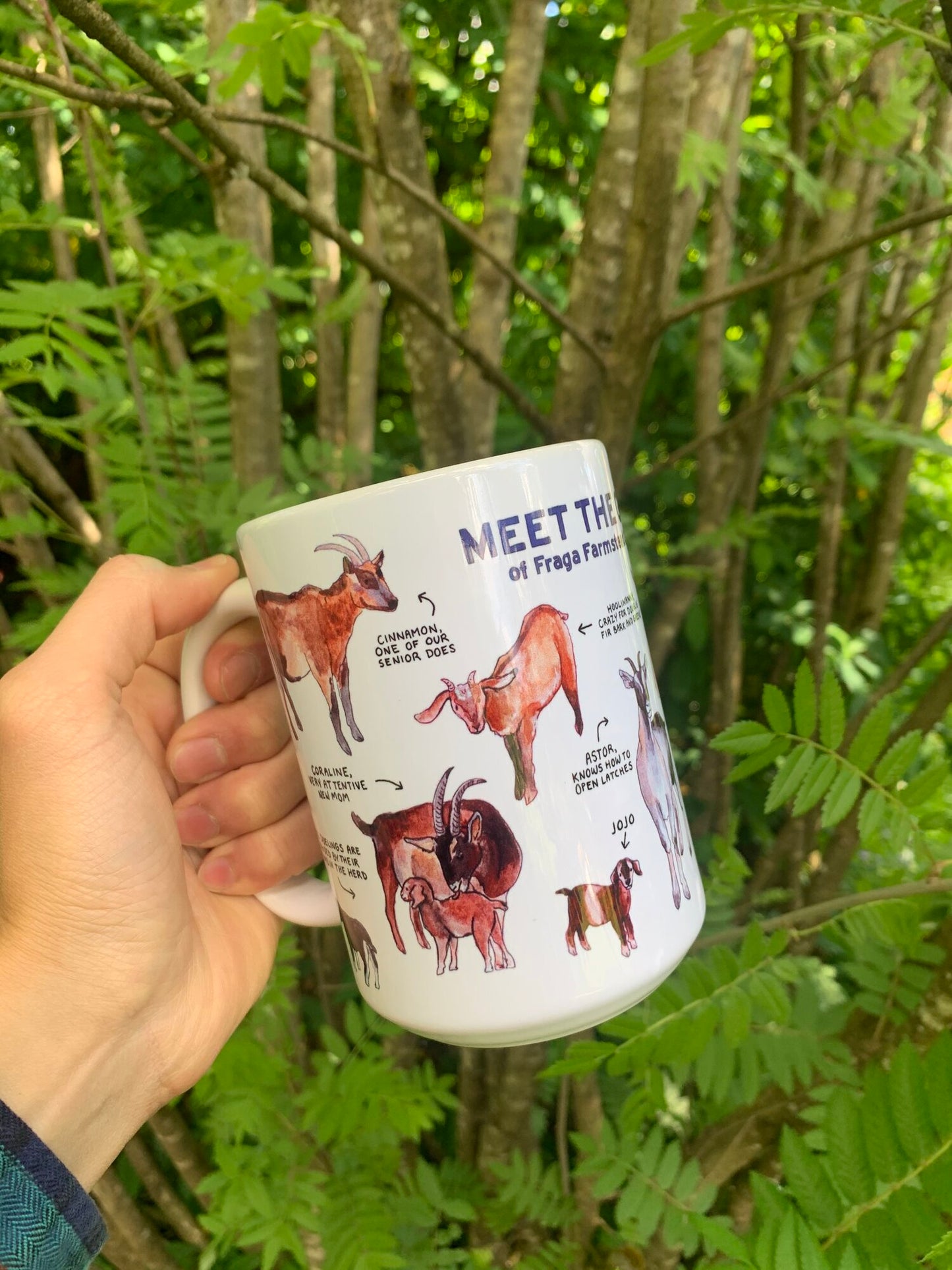 Meet the Goats Mug