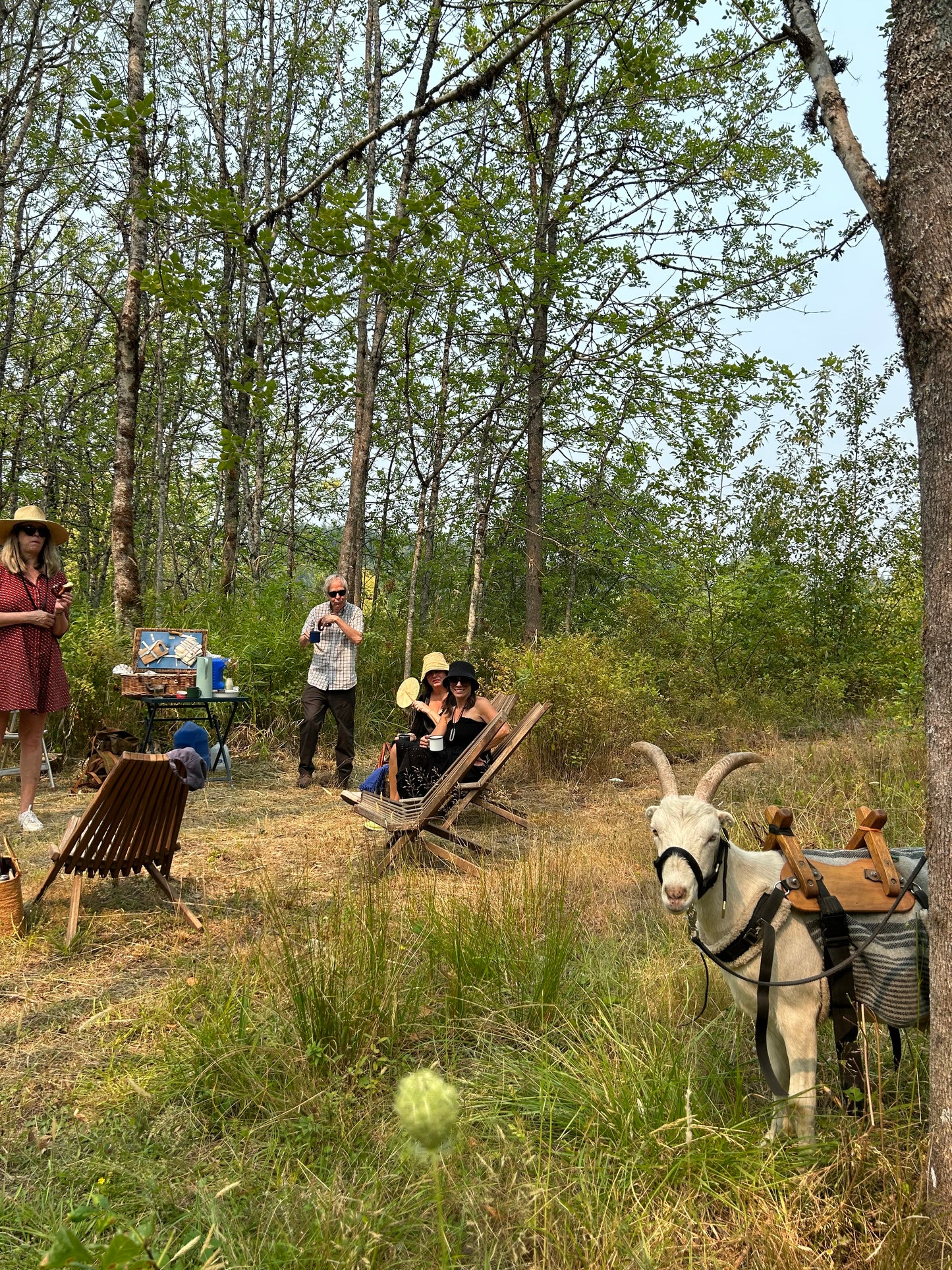 Goat Hike & Picnic