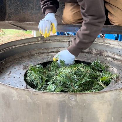 Evergreen Laundry Kit