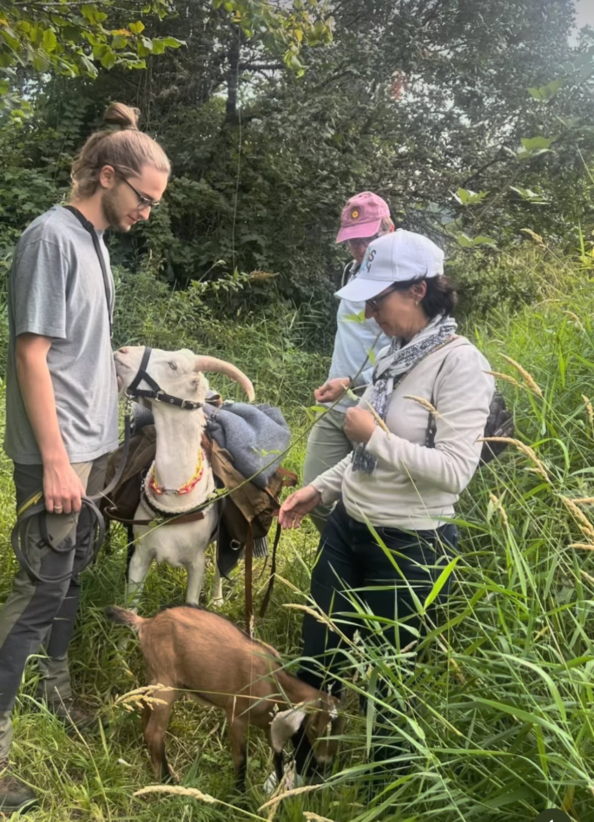 Goat Hike & Picnic