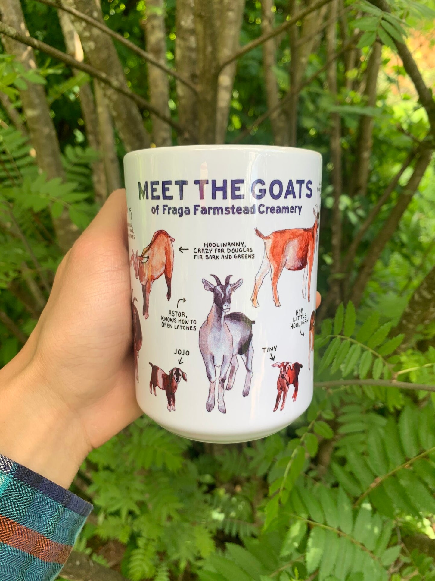 Meet the Goats Mug